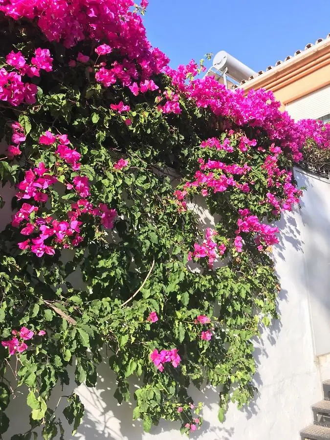 فيلا Casa Milo نيرخا